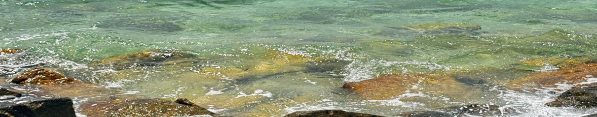 Darcy Friday Top real estate agent in Coral Springs