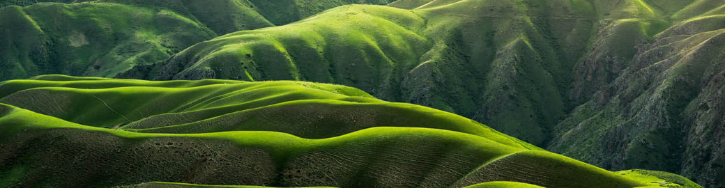 Callie Kelley Top real estate agent in Eagle