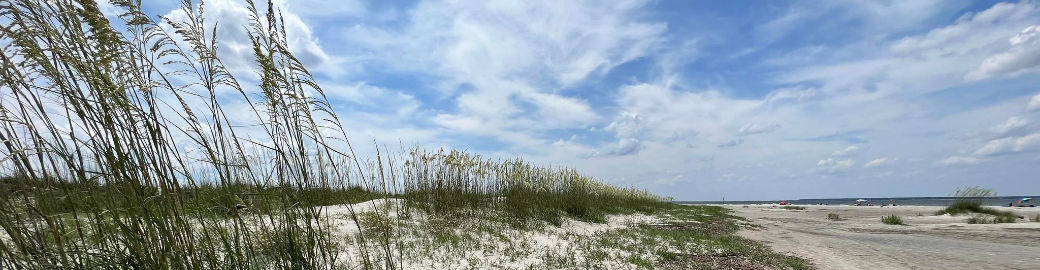 Leslie Shinn Top real estate agent in Savannah