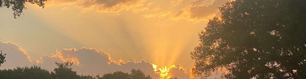 Kim B Top real estate agent in Georgetown