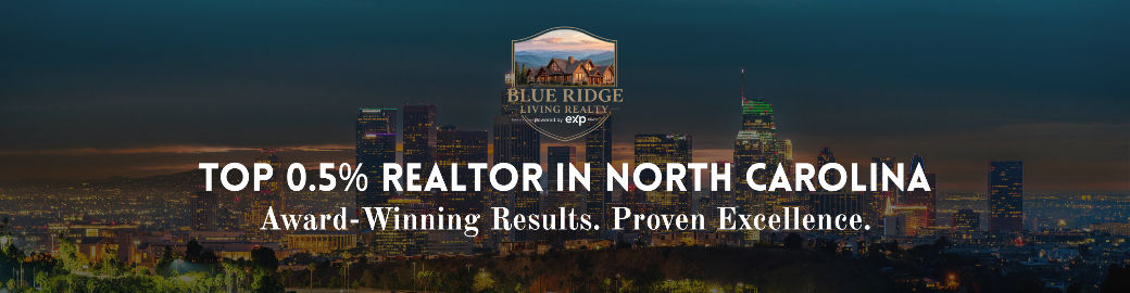 Melissa Plemmons Top real estate agent in Asheville