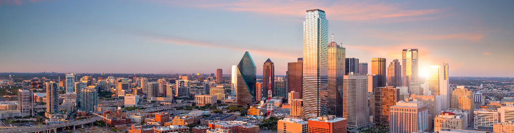 Robert Silva Top real estate agent in Prosper