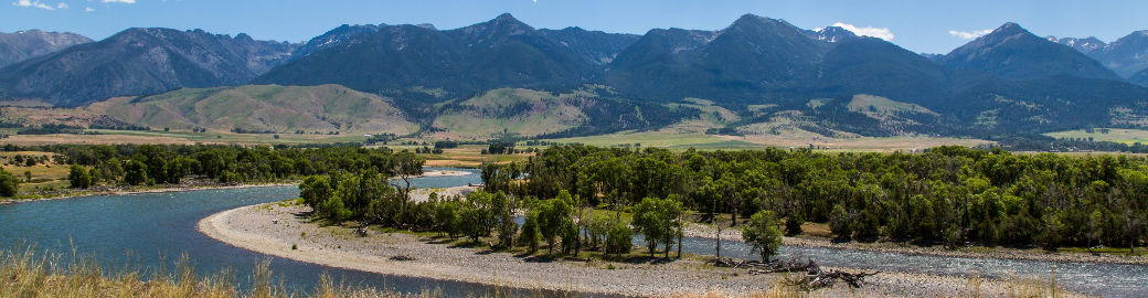 Jessie Sarrazin Top real estate agent in Livingston