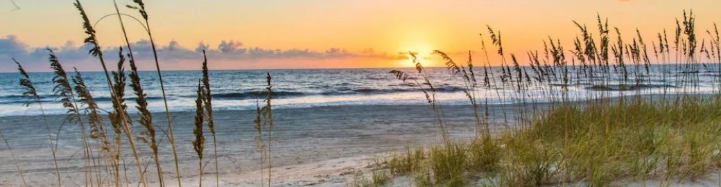 Katie Bruno Top real estate agent in Hilton Head Island