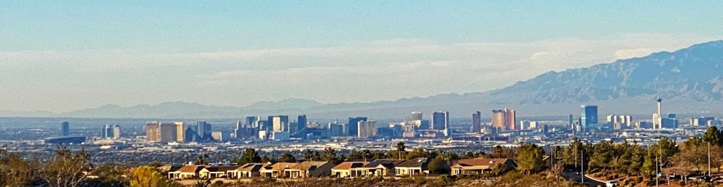 Nicole Johnson Top real estate agent in Las Vegas