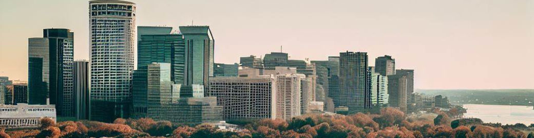 Kelly Kraemer Soares Top real estate agent in Arlington