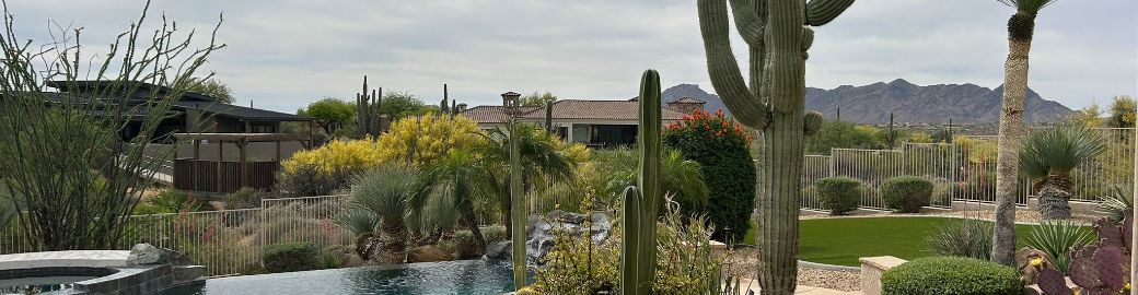 Rachel Kohn Top real estate agent in Scottsdale