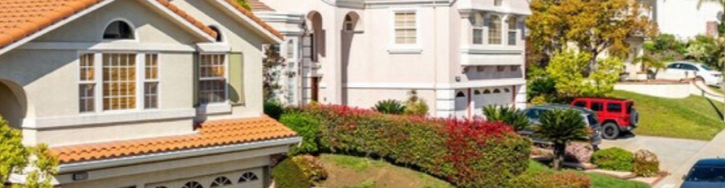 Nayre Minas Top real estate agent in Northridge