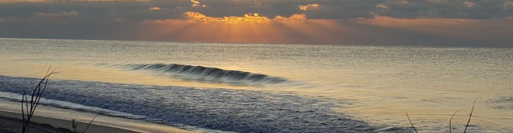 Jordyn Heche Top real estate agent in Myrtle Beach