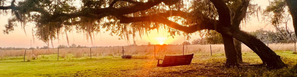 Hope Skinner Top real estate agent in Lakewood Ranch