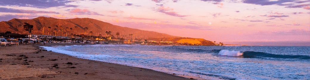 Noushin Brown Top real estate agent in Laguna Beach