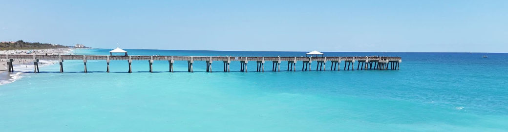 Donna Lederman Top real estate agent in Jupiter