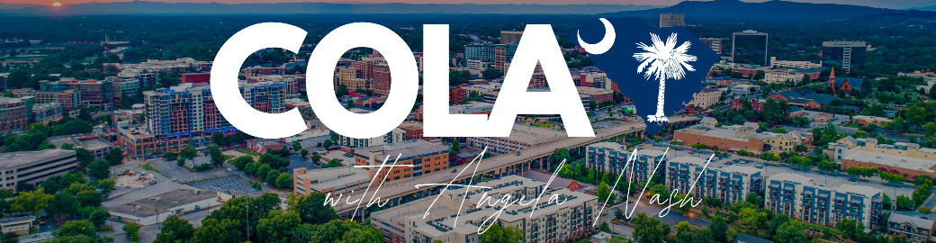 Angela Nash Top real estate agent in Columbia