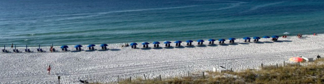 Patricia Kelly Top real estate agent in Daphne