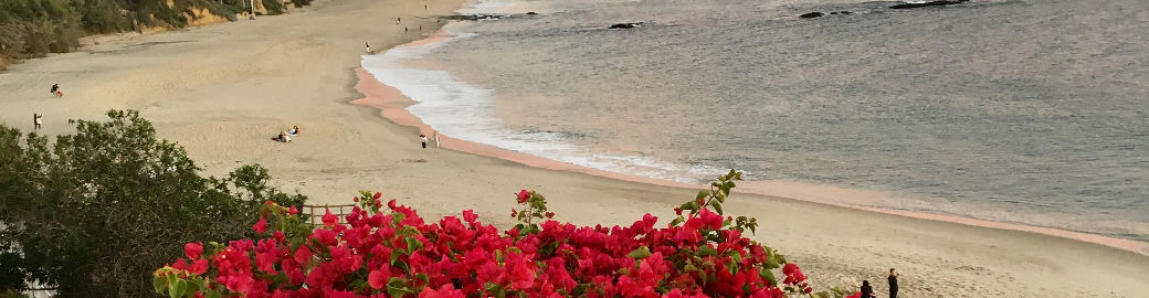 Tony Maniaci- Top real estate agent in Newport Beach