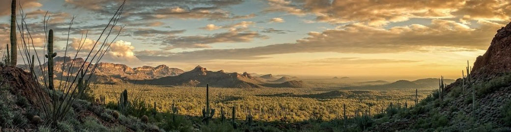 Jesse Kleinsasser Top real estate agent in Scottsdale