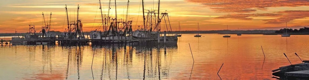 Mary Hamilton Top real estate agent in Fernandina Beach
