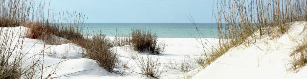 julia cunningham Top real estate agent in Port Saint Joe