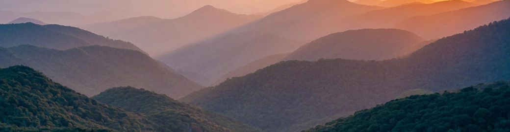 APRIL SMITH Top real estate agent in ASHEVILLE
