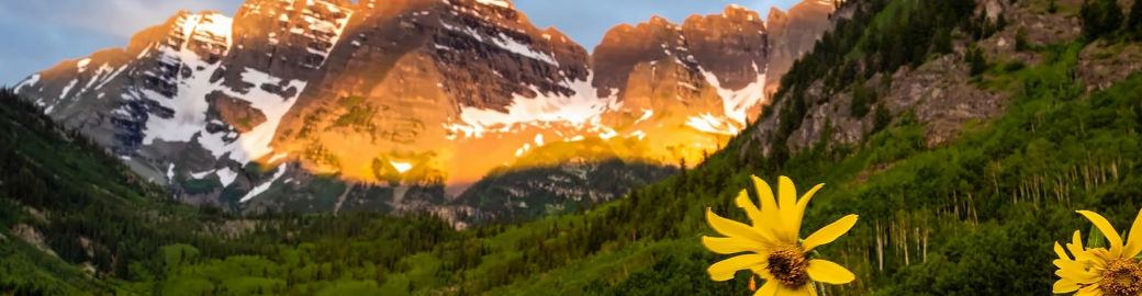 Katherine Coleman Top real estate agent in Aspen