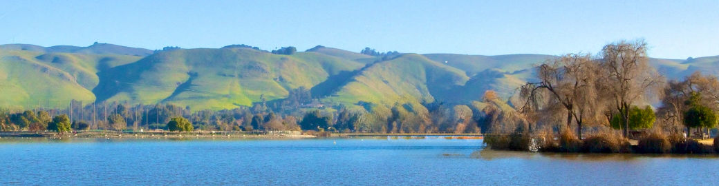 Eliane Selwan Top real estate agent in Pleasanton