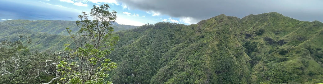 Tristan Farrara Top real estate agent in Honolulu