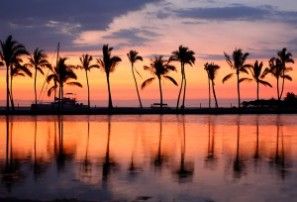 Ted Stout Top real estate agent in Cape Coral