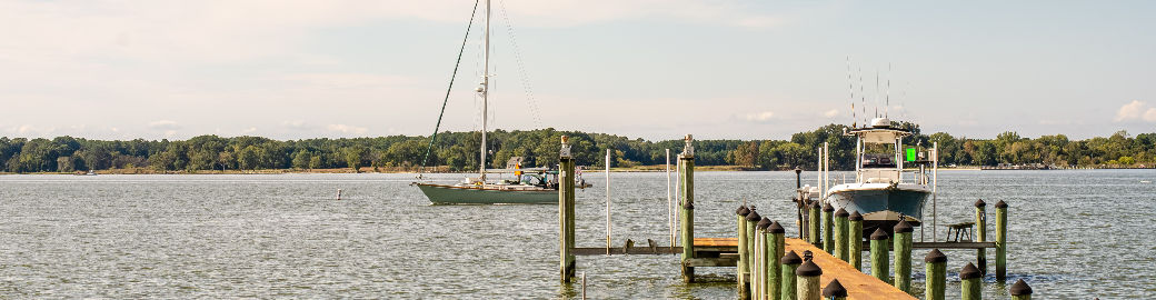 Barbara Watkins Top real estate agent in Oxford