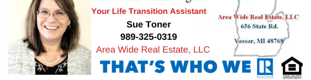 Sue Toner Top real estate agent in Vassar 