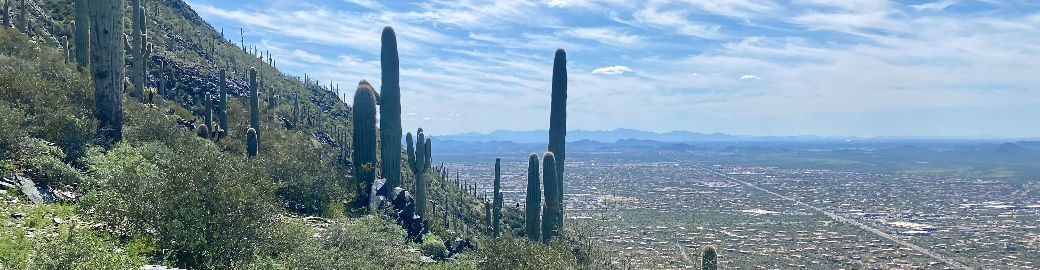 Jonathan Baer Top real estate agent in Phoenix