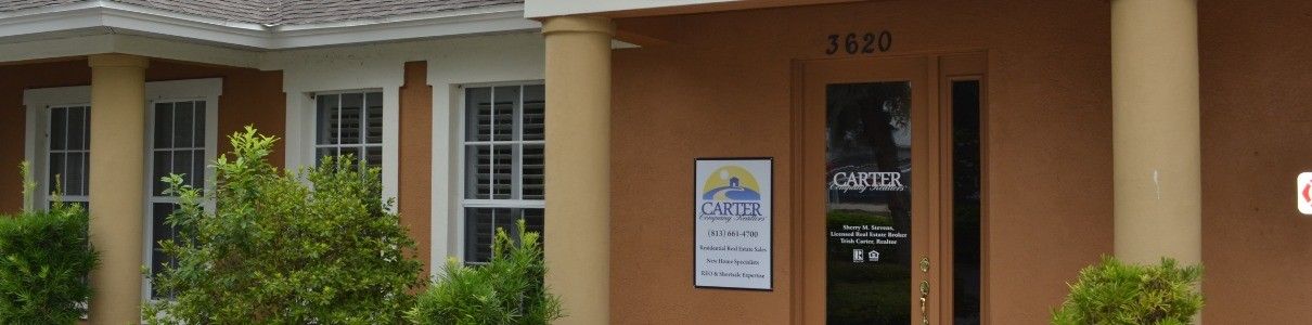 Trish Carter Top real estate agent in Valrico 