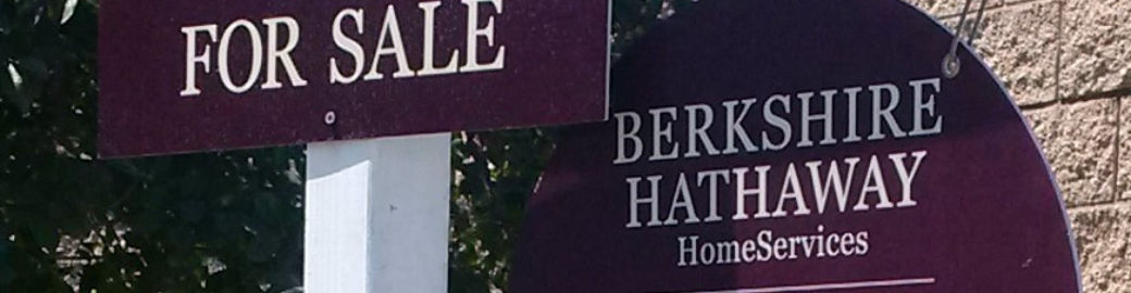 Mona Bleick Top real estate agent in Cypress