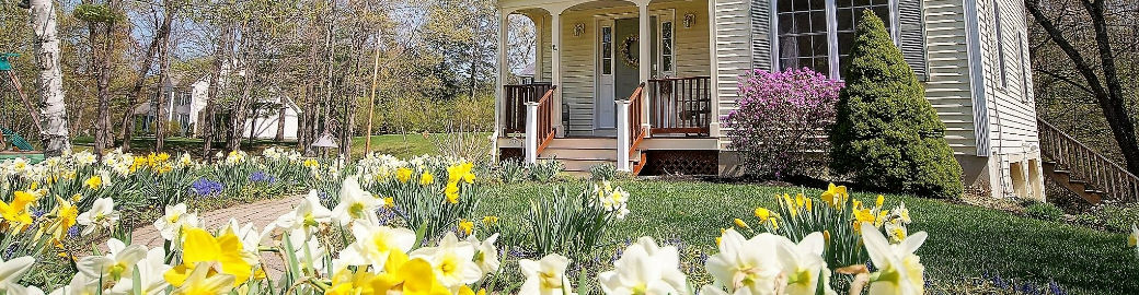 Joe Scattergood Top real estate agent in Londonderry