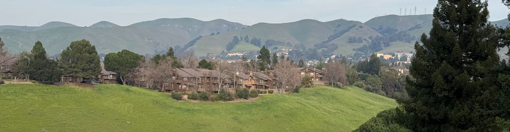 Ashok Patel Top real estate agent in Fremont