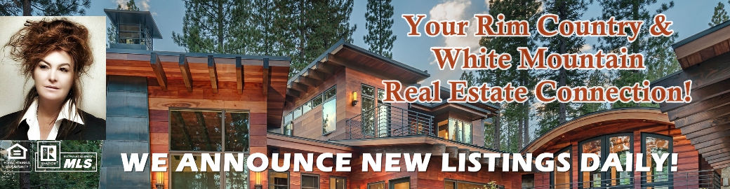 The Tamra Lee Ulmer Team Top real estate agent in Payson 