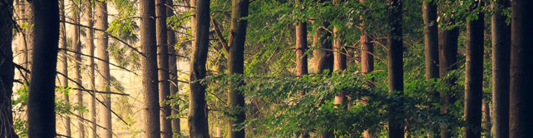 Patti Finkel Top real estate agent in Marietta