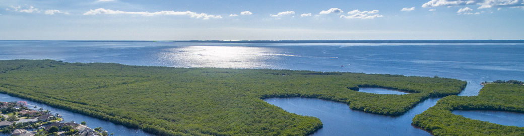 Brian Helgemo Top real estate agent in Punta Gorda