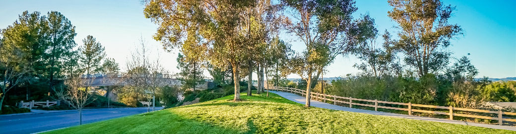 Laura Coffey Top real estate agent in Stevenson Ranch