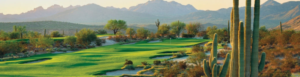 Marcy Murphy Top real estate agent in Scottsdale