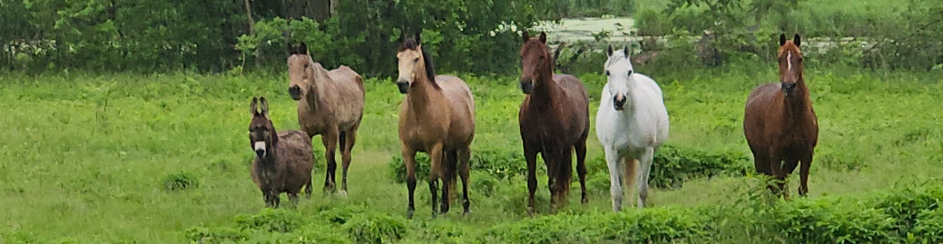 Sarah Hemker Top real estate agent in Onalaska