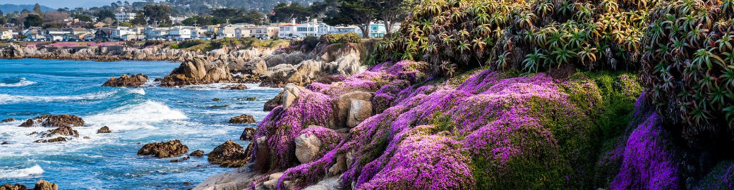 Amber Russell Top real estate agent in Pacific Grove