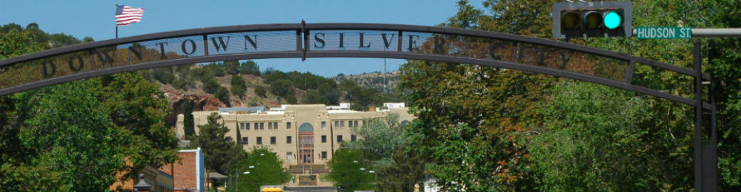 Julie Williamson Top real estate agent in Silver City