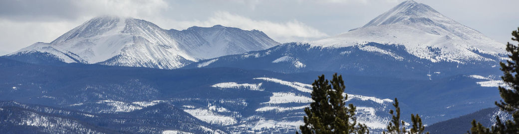 Allison Simson Top real estate agent in Dillon