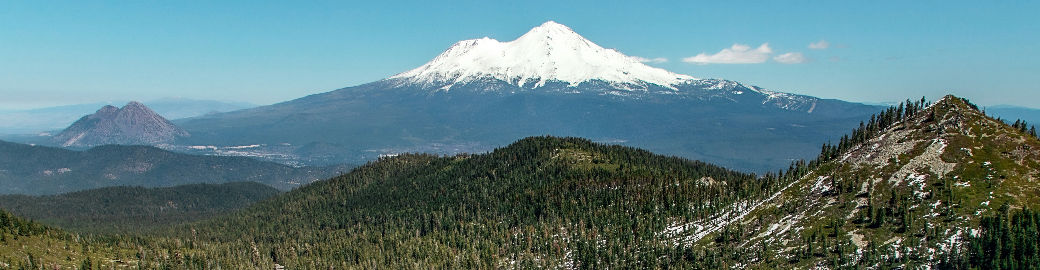 JR McGee Top real estate agent in Redding