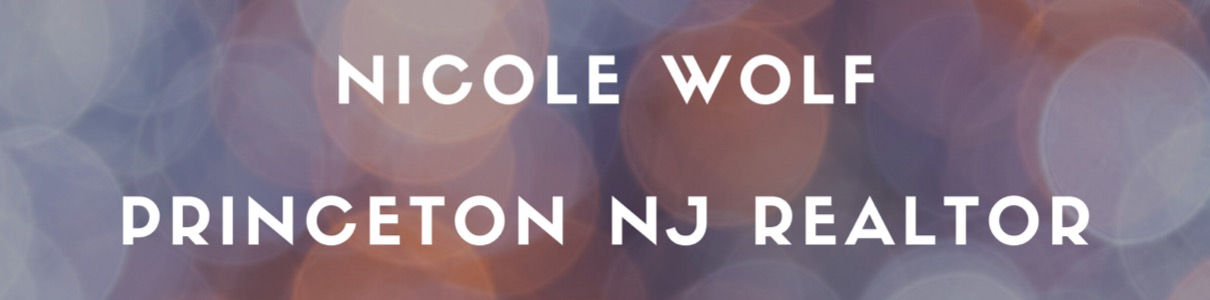 Nicole Wolf Top real estate agent in Princeton 