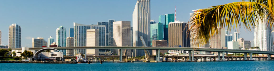 Johanna Bassols Top real estate agent in Miami Beach 