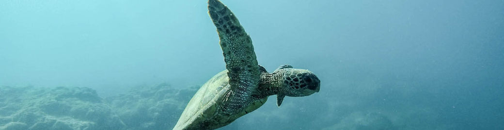 Andy Barclay Top real estate agent in Satellite Beach