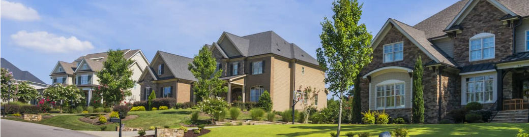 Emily Brown Top real estate agent in Cary