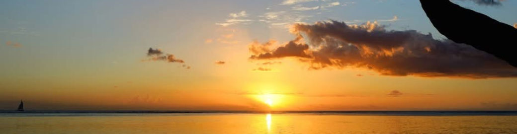 Heidi Choiniere Top real estate agent in North Port