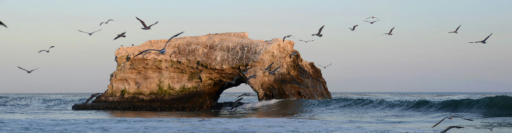 Kaelin Wagnermarsh Top real estate agent in Capitola